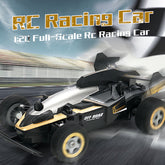 Hosim RC Momster Car Truck 1/20 Scale 2.4GHz RTR Truggy Truck Remote Control Cars 4WD Off-Road Black