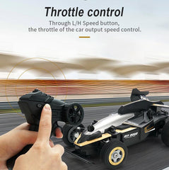 Hosim RC Momster Car Truck 1/20 Scale 2.4GHz RTR Truggy Truck Remote Control Cars 4WD Off-Road Black