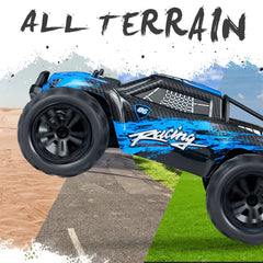 Hosim 1:14 4WD 36km/h Radio Controlled Monster Truck Buggy G174 Blue