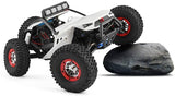 Wltoys RC Car 12429 4WD 1/12 Electric Climbing High-Speed Off-Road Vehicle Simulation Car Remote Car