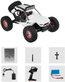 Wltoys RC Car 12429 4WD 1/12 Electric Climbing High-Speed Off-Road Vehicle Simulation Car Remote Car